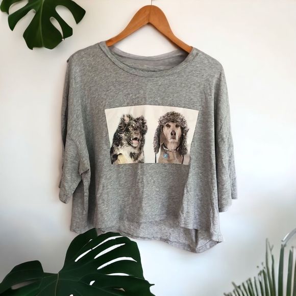 aerie Tops Aerie Offline Graphic Grey Crop Tee Dogs Winter Hats